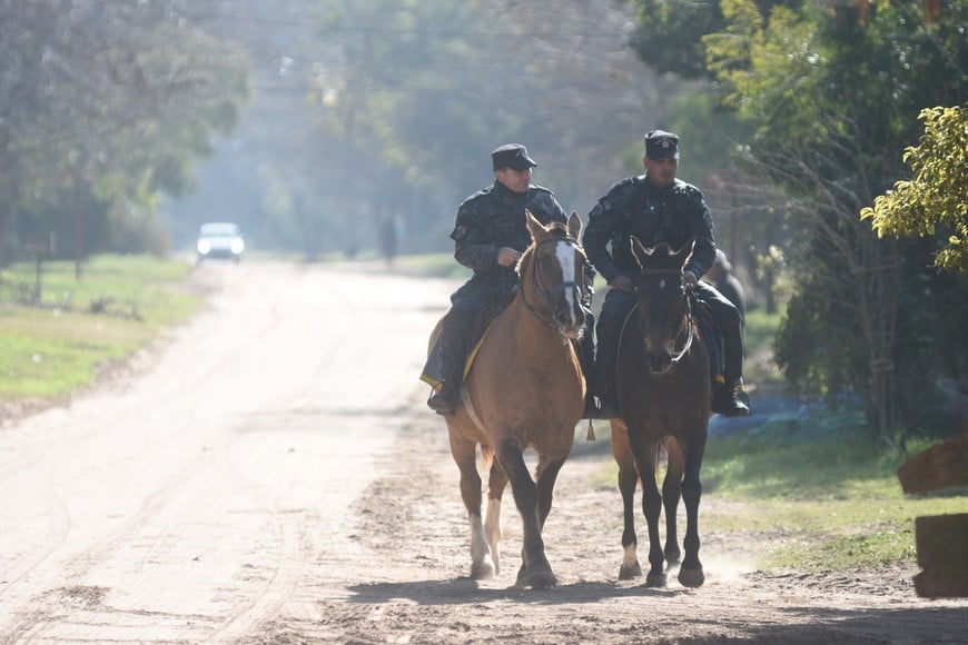 caballo caballeria policia. Foto; Flavio Raina