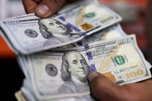 An employee counts U.S. dollars in an exchange house, in Bogota, Colombia January 27, 2025. REUTERS/Luisa Gonzalez