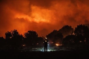 "Terroristas disfrazados de mapuches prendieron fuego nuestra Patagonia para extorsionar al Gobierno", dijo Cúneo Libarona.