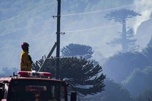 Incendio en el Parque Nacional Lanín: 15.200 hectáreas afectadas