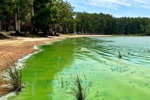 El especialista explicó que “es necesario hacer un control exhaustivo de eso, pero también un monitoreo constante de los cuerpos de agua. Todos los cuerpos de agua son únicos y llevan un conocimiento”. Crédito: Belén Fedullo.