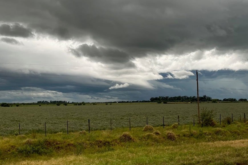 Si bien se esperan lluvias este fin de semana, el panorama productivo no cambiaría.