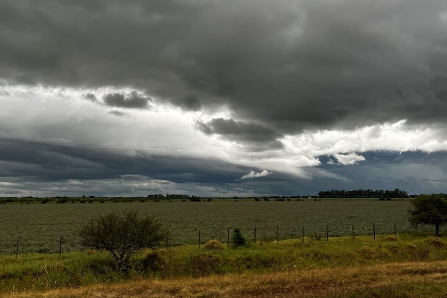 Si bien se esperan lluvias este fin de semana, el panorama productivo no cambiaría.