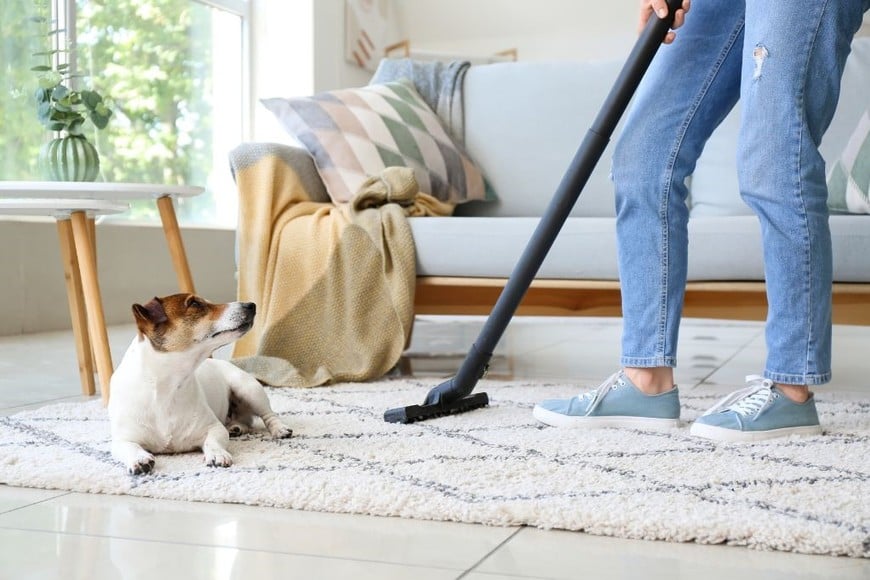 La limpieza en el hogar crea un ambiente propicio para la prosperidad.