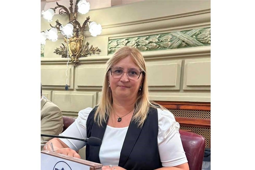 Brouwer ocupa una banca en la Legislatura provincial.