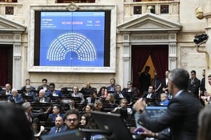 diputados ficha limpia