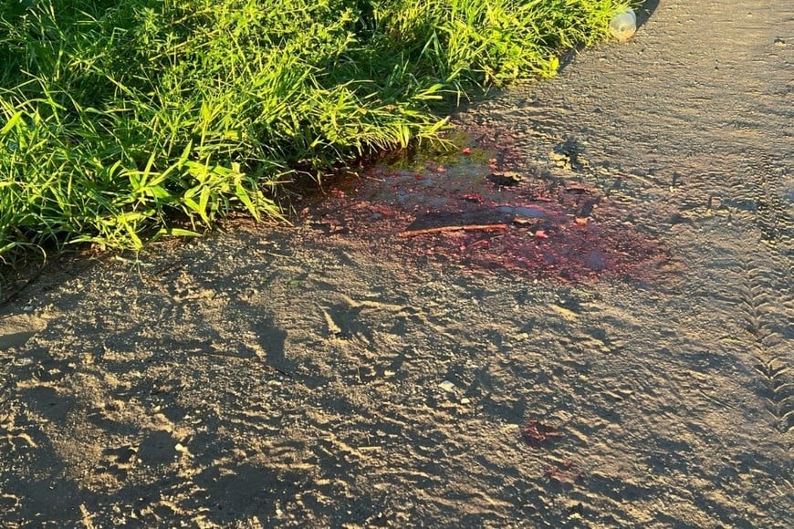 Algunos rastros de sangre quedaron en la vía pública.