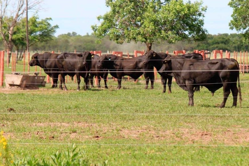 En el lugar se realizan actividades agropecuarias.