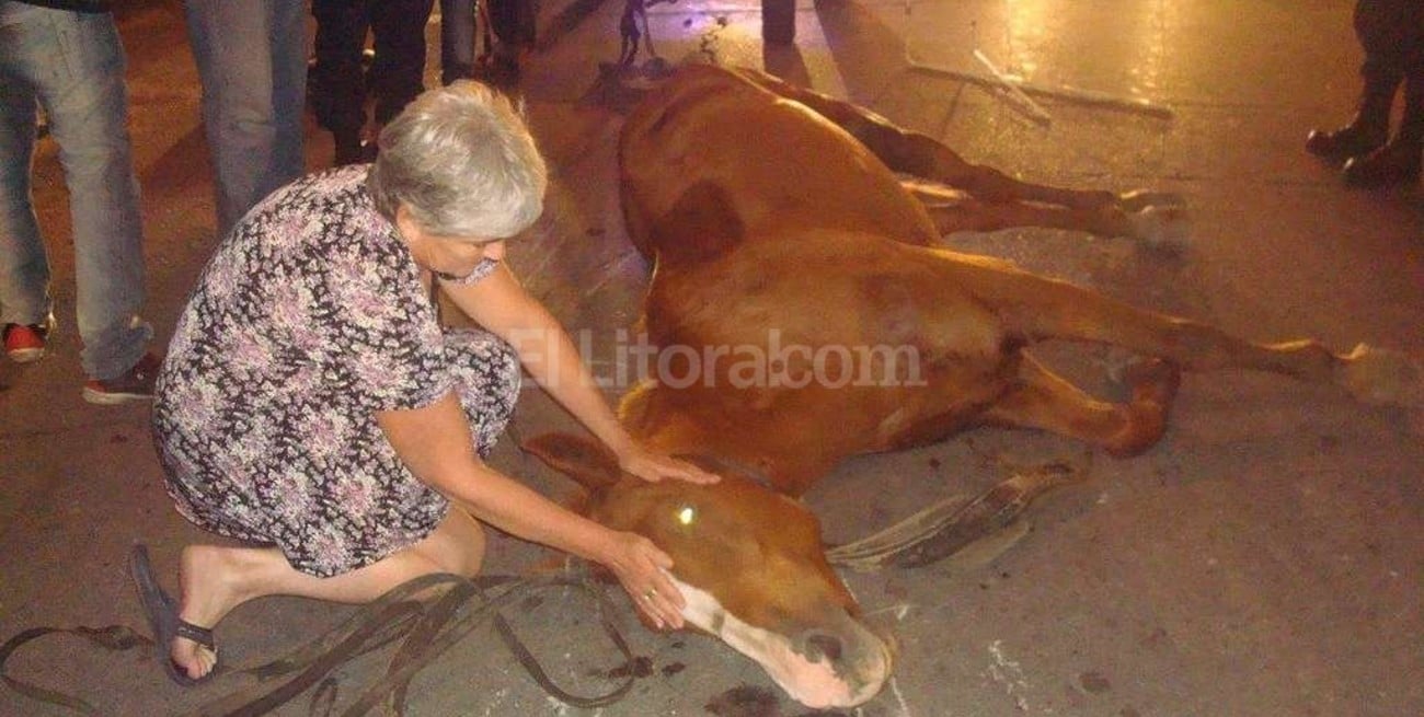 La triste odisea de un caballo cansado