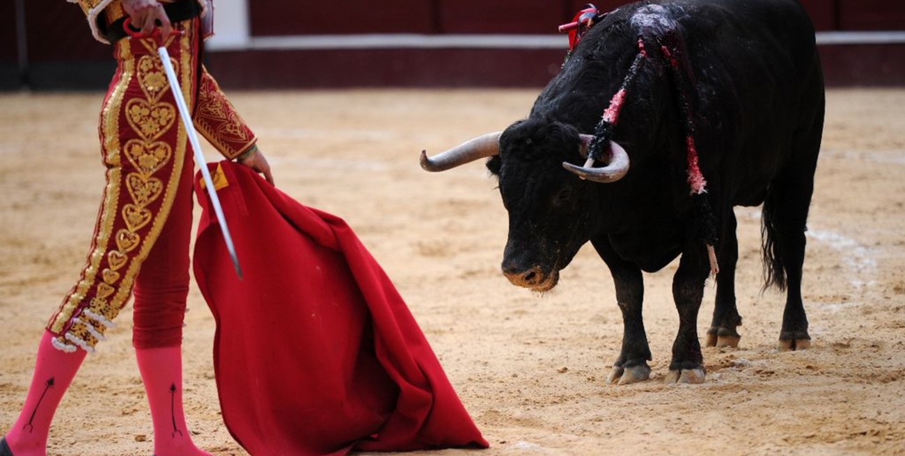 Vuelven a ser legales las corridas de toros en Colombia 