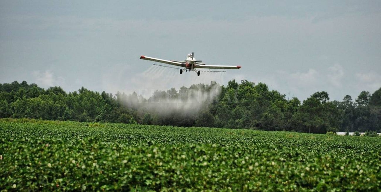 La Justicia santafesina fijó criterio  contra la contaminación hormonal 