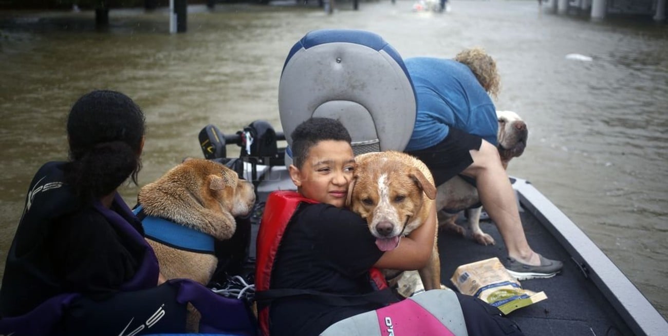 A 12 años de Katrina, el pueblo estadounidense padece al huracán Harvey