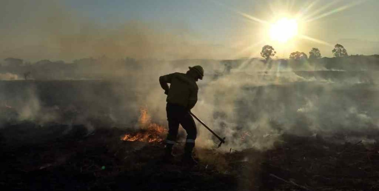 Jujuy: lanzan un plan para restaurar las 37.000 hectáreas afectadas por los incendios