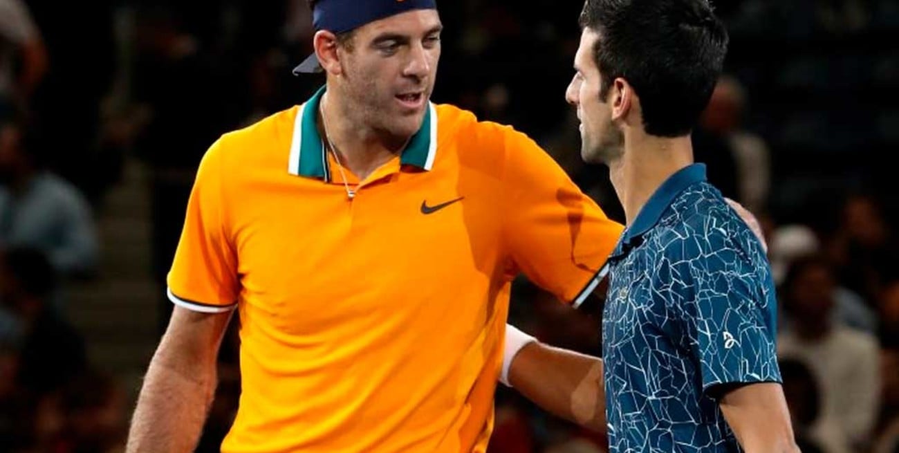 Del Potro no pudo con Djokovic