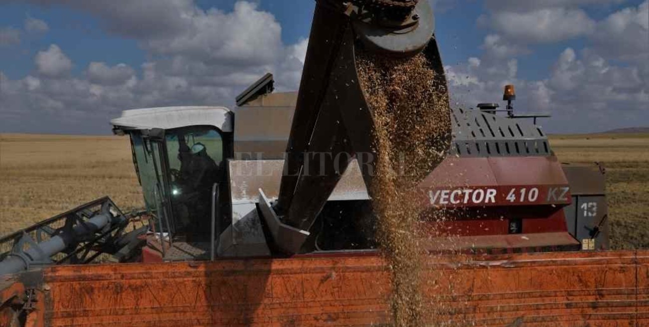 Las exportaciones agroindustriales son el sostén del ingreso de dólares  