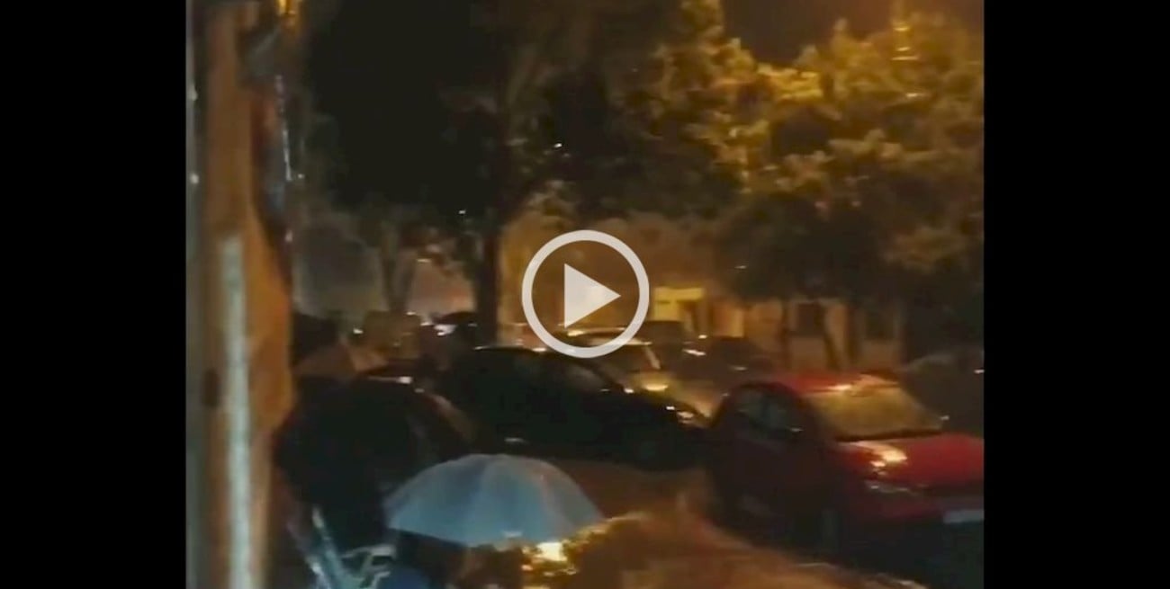 Video: Ni la lluvia frena la fiebre Sabalera por el canje de entradas