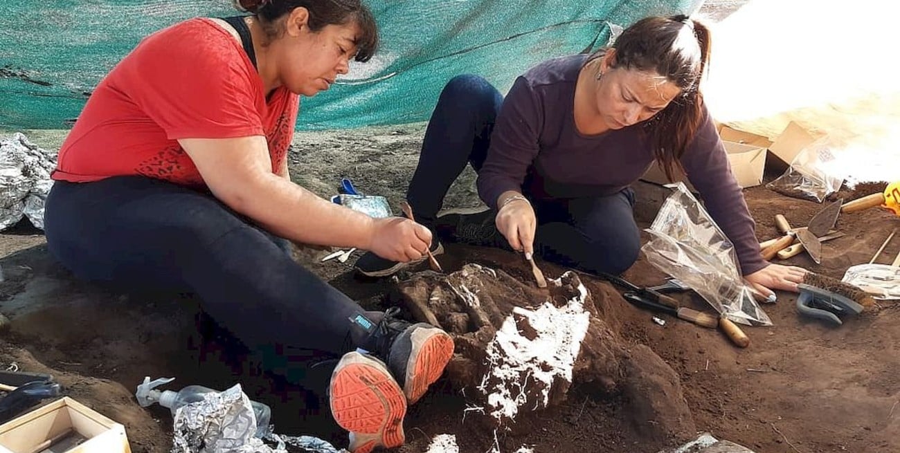 Importante hallazgo arqueológico en la ciudad de Santo Tomé