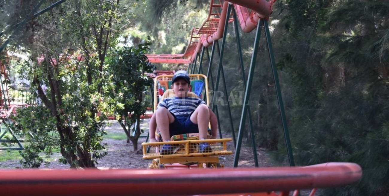 El mejor abuelo del mundo: construyó una montaña rusa en el patio de su casa para los nietos