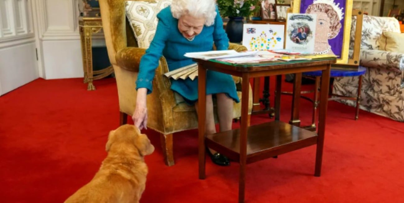 Isabel II tiene un nuevo perrito y no es un corgi