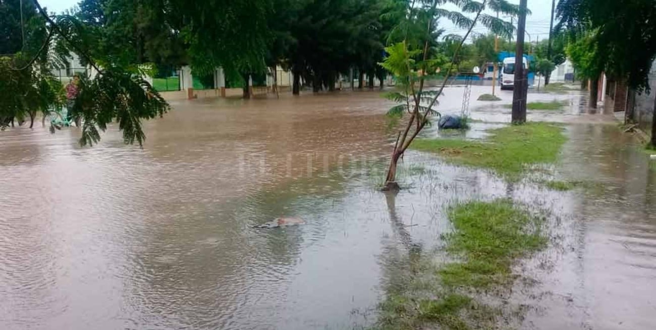 Tostado bajo agua 