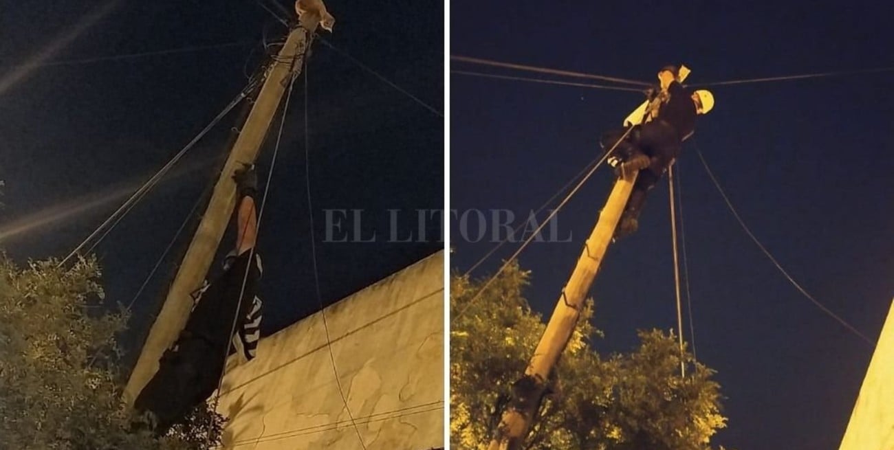 Bomberos rescataron a un gato que estaba en un poste a 10 metros de altura