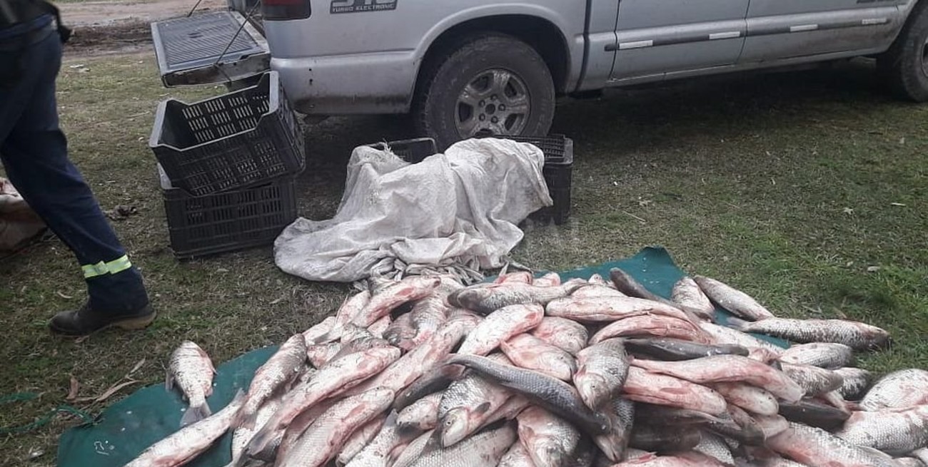 Durante agosto la Guardia Rural decomisó más de 4000 peces e intervino en 27 procedimientos por abigeato