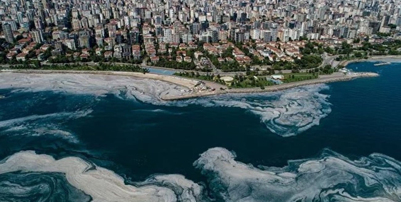 Turquía lucha contra el mucílago en sus aguas