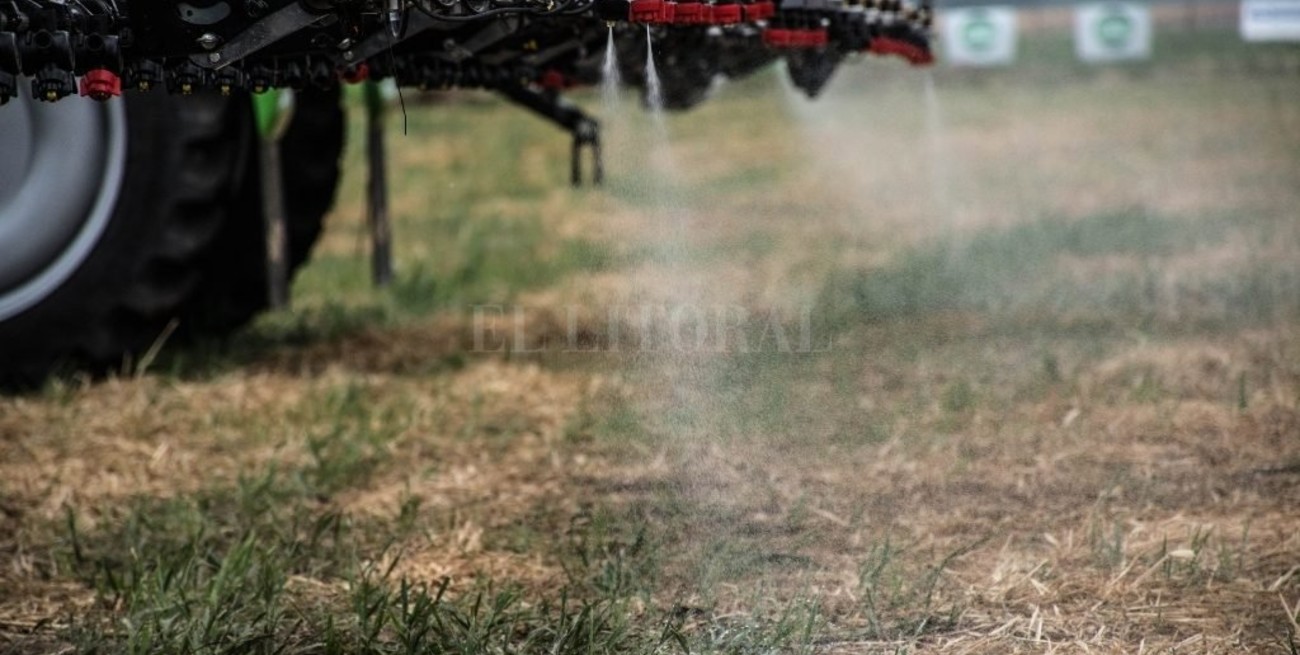 El campo define el mejor nivel entre las industrias