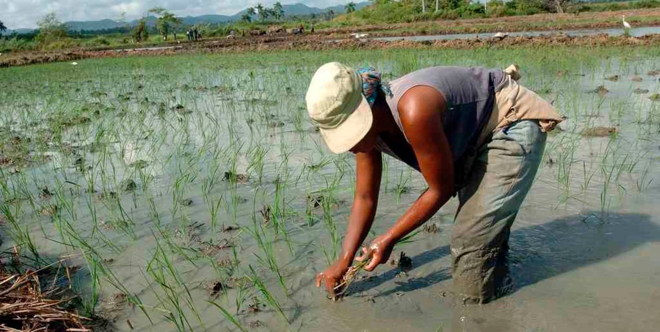 Cuba y la FAO acordaron un proyecto de 119 millones de dólares para el cambio climático