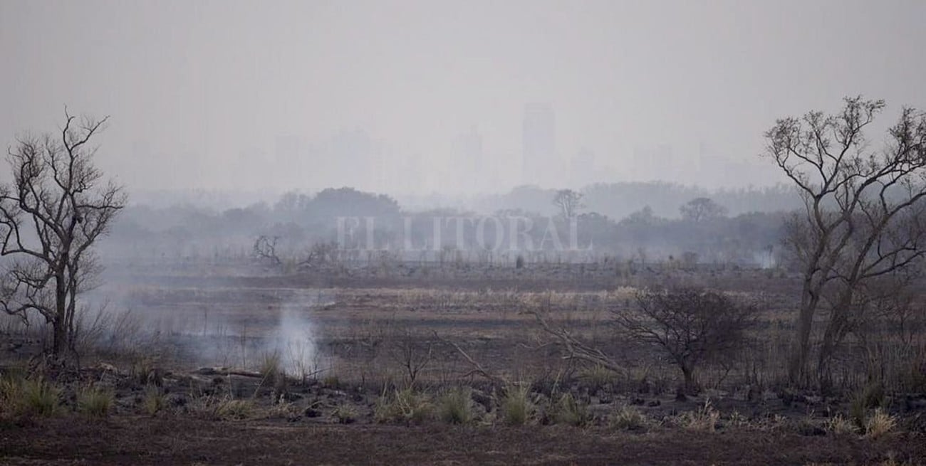 La lluvia apagó todos los focos de incendios en el Delta del Paraná