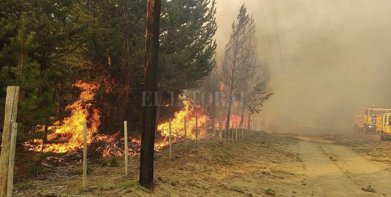 Advierten que es "muy grave" el daño por los incendios en El Bolsón