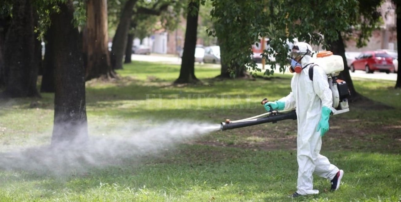 "La fumigación no es excesiva para que se reproduzcan los depredadores del Aedes"