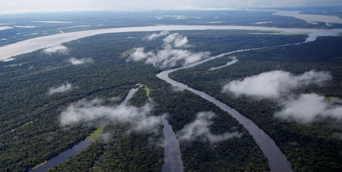 La selva amazónica se habría creado por el asteroide que acabó con los dinosaurios