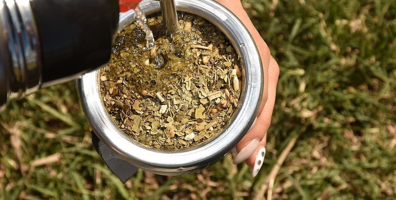 El consumo de yerba mate creció 4,5% en los primeros siete meses del año