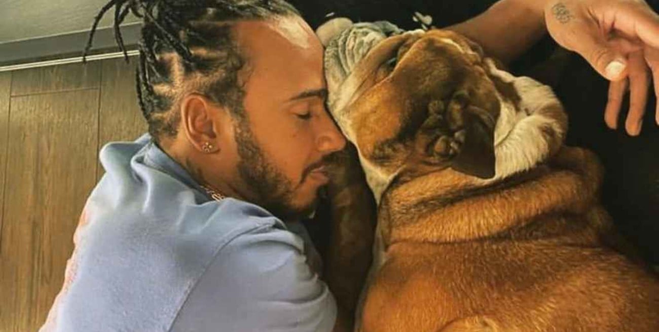 Lewis Hamilton reveló que su perro gana 700 dólares diarios por publicidades