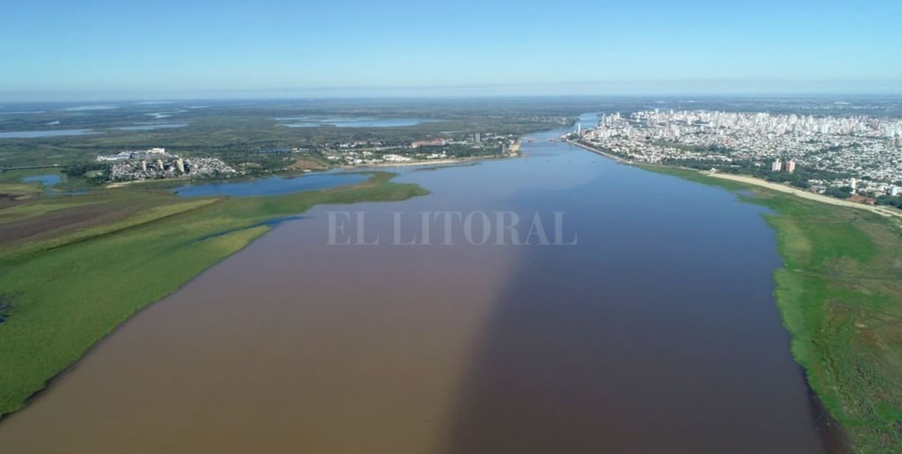 Juncos, sauces y alisos, son los nuevos habitantes del ¿río? Setúbal