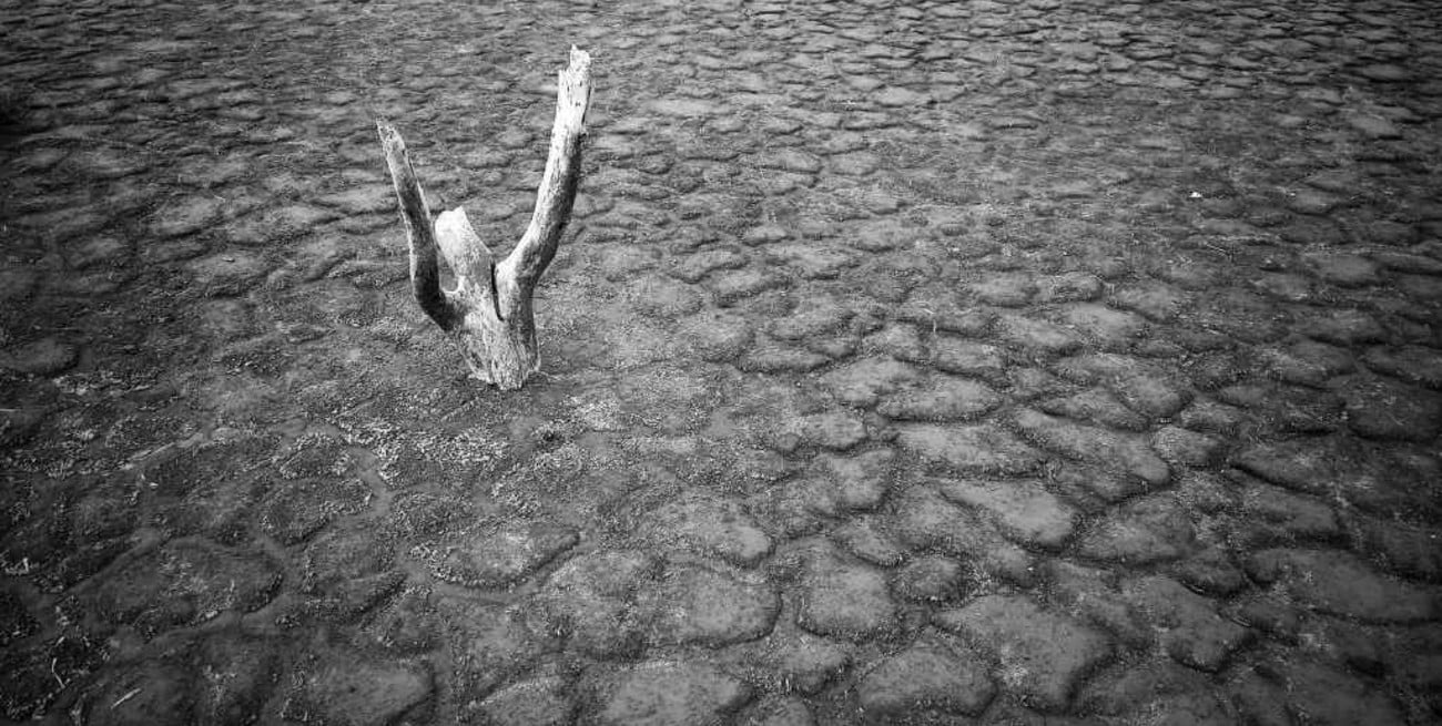 "Clamor": la obra ganadora del concurso "El agua en imágenes"  