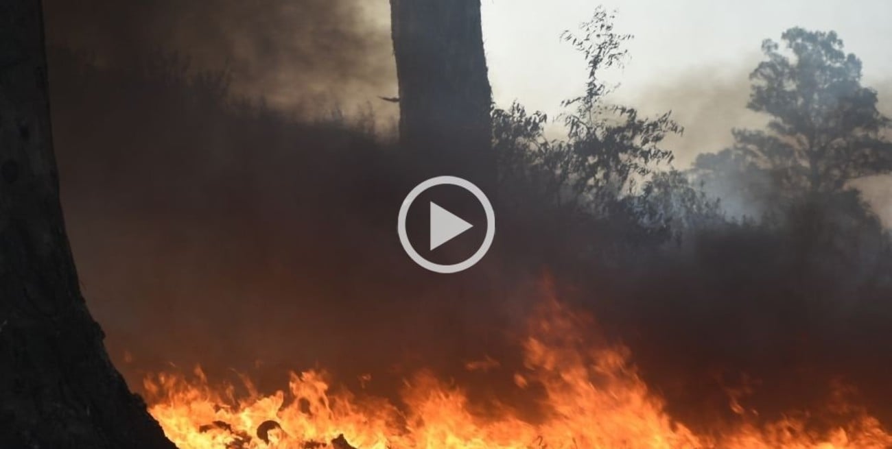 Se registraron 1.400 puntos de calor en toda la provincia de Santa Fe