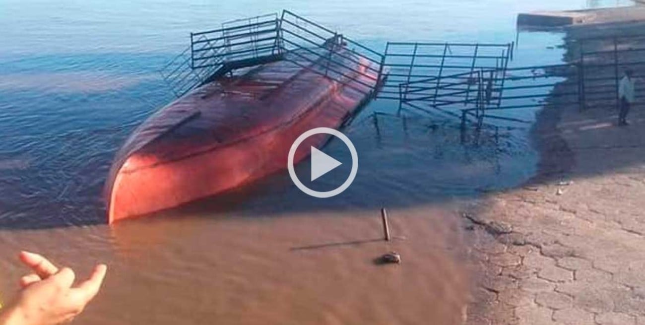 Video: se hundió una balsa en Gualeguay y se ahogaron decenas de novillos