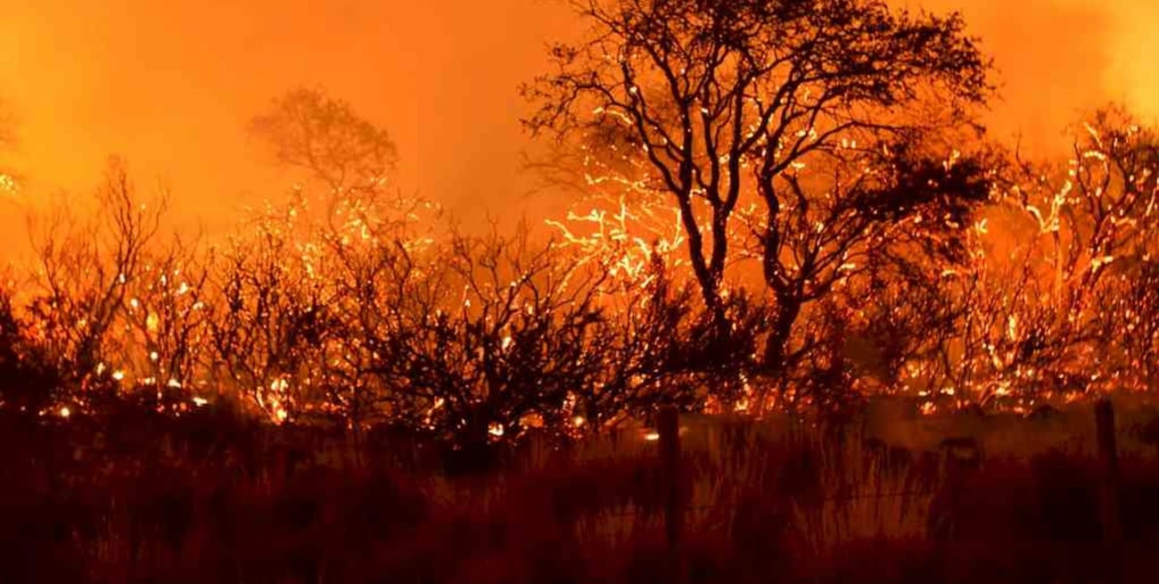 La Pampa: se incendiaron este año 37 mil hectáreas, menos de la mitad del año anterior