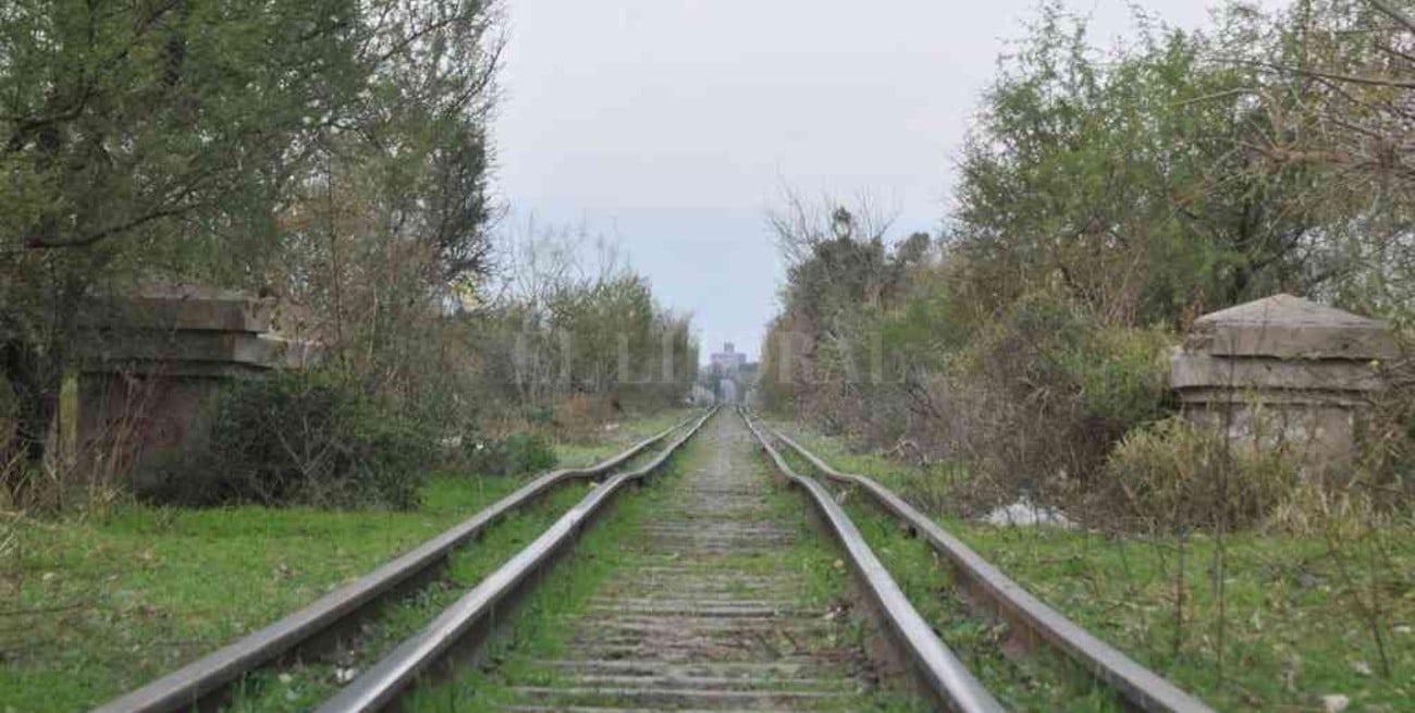 Estudiarán la factibilidad para habilitar un tren de cercanía entre Santa Fe y Santo Tomé