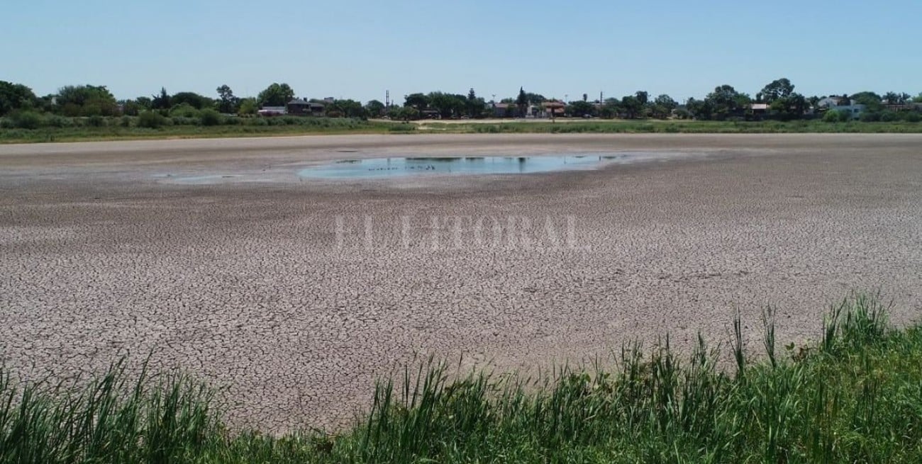 Buscan rescatar las tortugas que quedaron atrapadas en la laguna Juan de Garay por la bajante