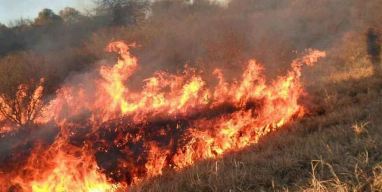 Más de 400 hectáreas afectadas por incendios en Corrientes