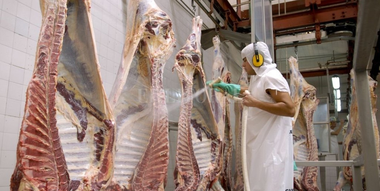 Los supermercados de Santa Fe tendrán los cortes parrilleros a precios rebajados