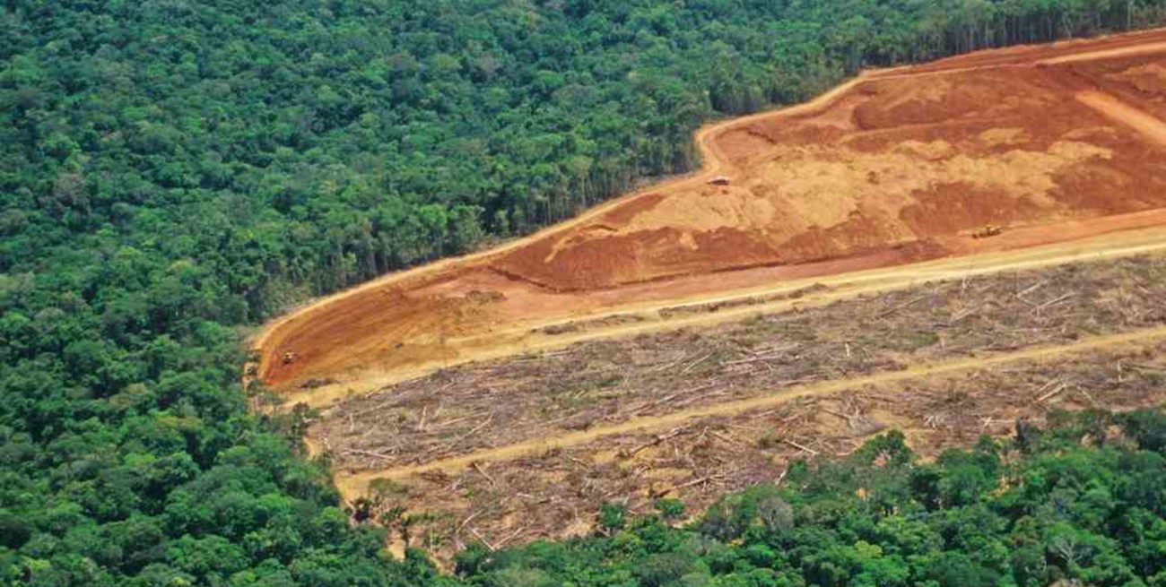 La deforestación de la Amazonia brasileña aumentó un 62% y alcanzó un nuevo récord