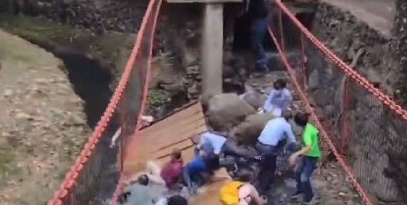 Video: se desplomó un puente colgante en México y hay más de veinte heridos