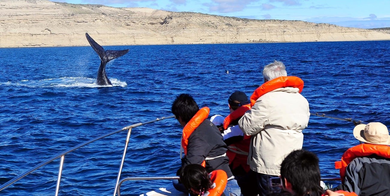 Comenzó la temporada de avistamiento de ballenas en Puerto Pirámides