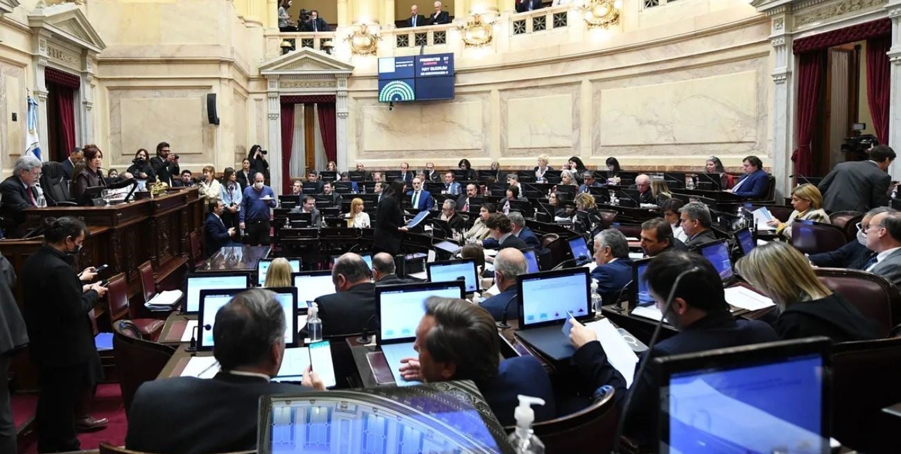 El Senado convirtió en ley el proyecto de respuesta integral al VIH