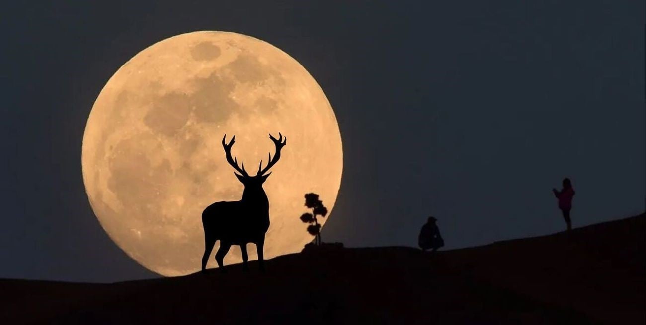 Superluna de ciervo: qué es y cuando se puede ver en Argentina