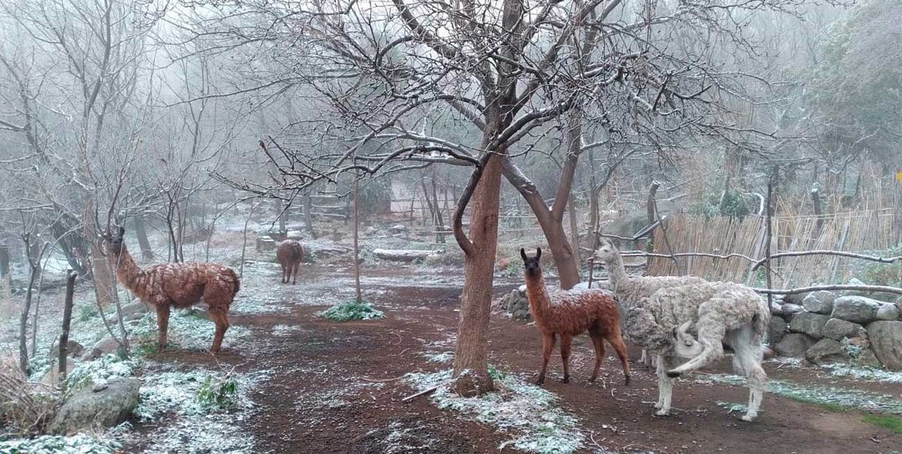 Fotos y videos: espectaculares imágenes de la nieve en las altas cumbres de Córdoba